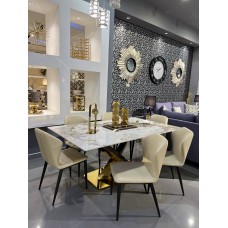 Modern dining table with 6 chairs/DZW001