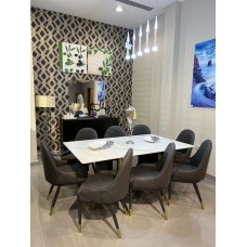 Modern dining table with 8 chairs\DZW003